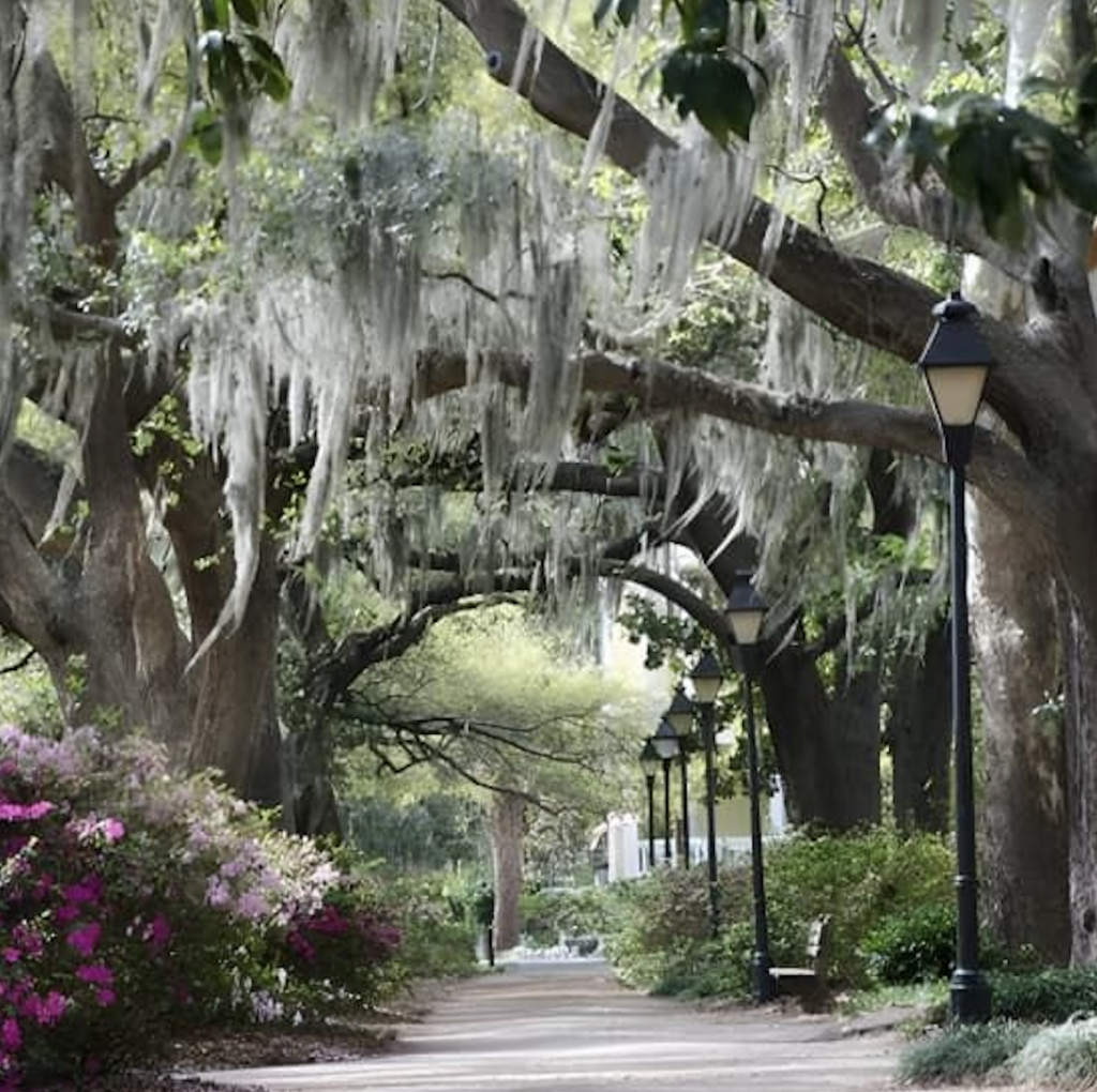 Tree-lined path with Spanish moss hanging from branches, flanked by flowering bushes and vintage-style lamps. A bench is visible on the right side.